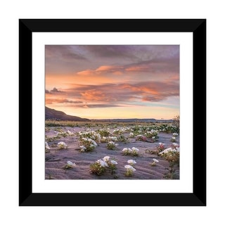 iCanvas "Desert Lily Spring Bloom, Anza-Borrego Desert State Park